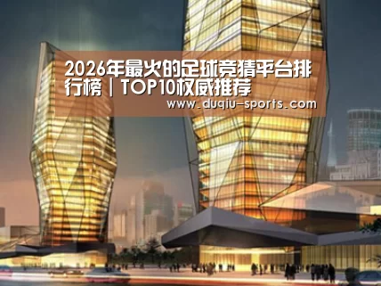 案例展示三(图1)