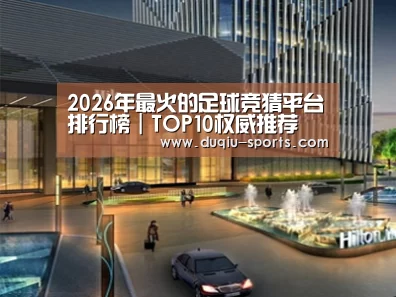 案例展示二(图1)