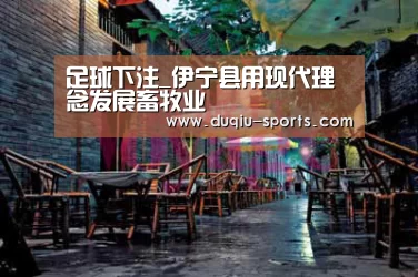 足球压住正规平台