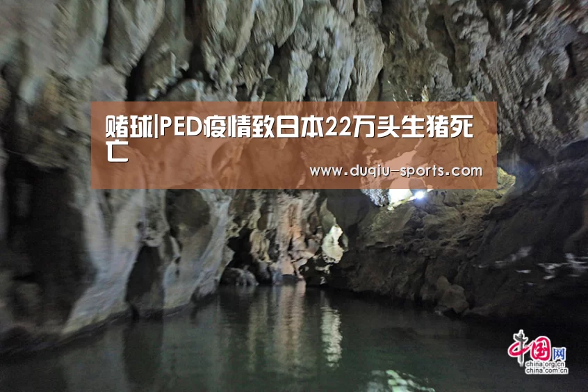 赌球|PED疫情致日本22万头生猪死亡(图1) 足球压住