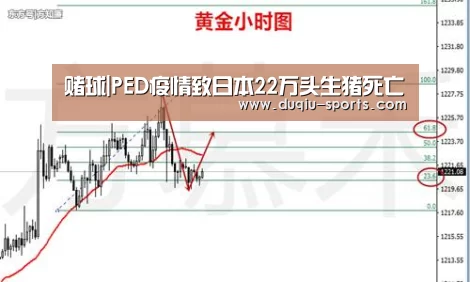 赌球|PED疫情致日本22万头生猪死亡(图3) 足球下注