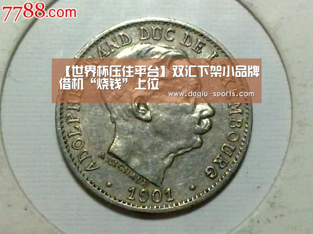 【世界杯压住平台】双汇下架小品牌借机“烧钱”上位(图2) 足球压住正规平台