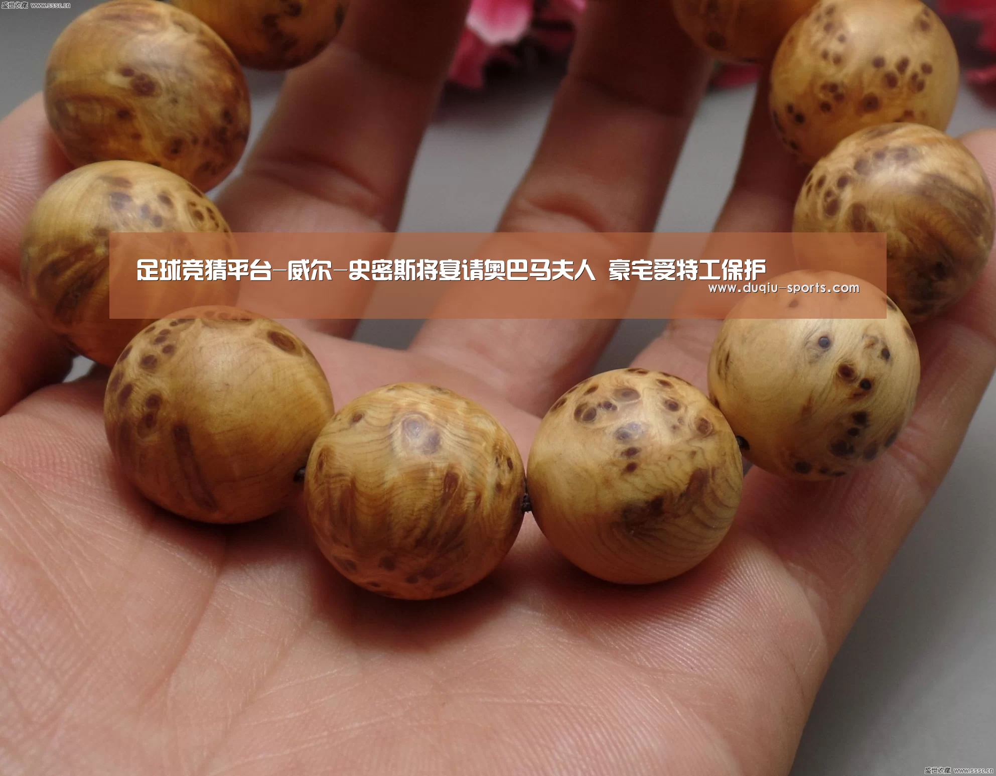 足球竞猜平台-威尔-史密斯将宴请奥巴马夫人 豪宅受特工保护(图1) 足球竞彩